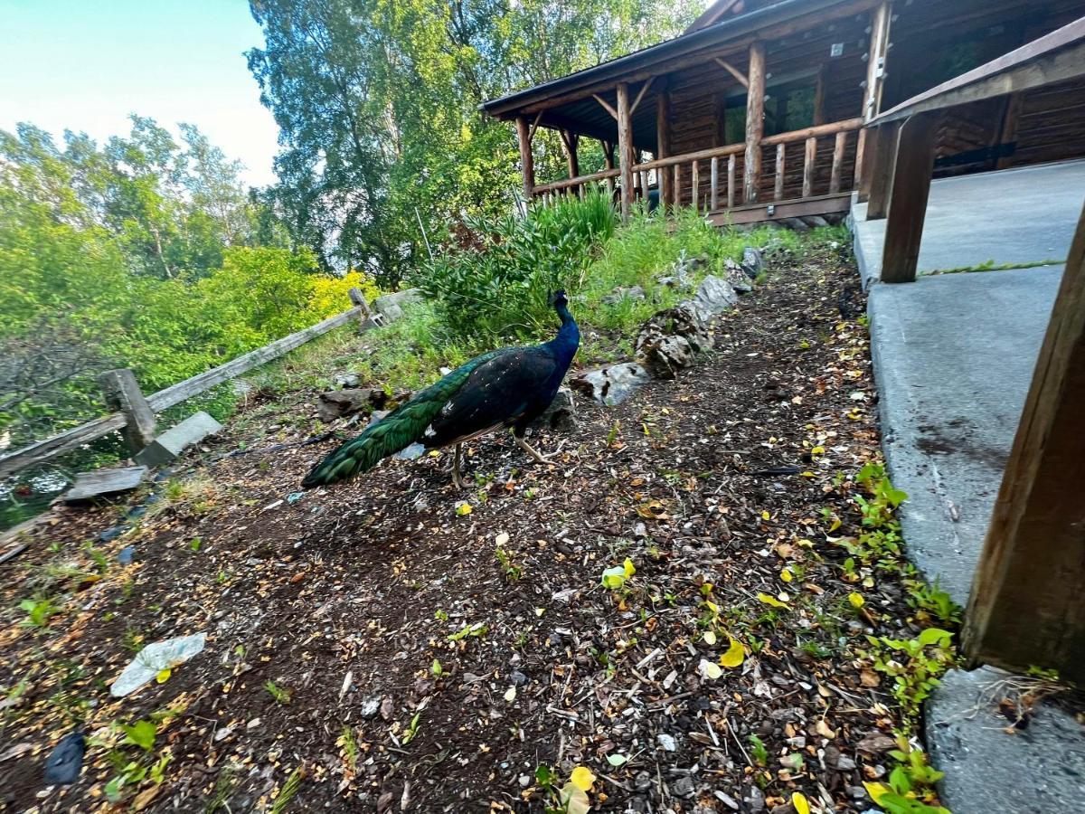 Indian Ak 25 Min To Anchorage & 25 Min To Girdwood Villa Kültér fotó